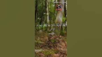 سورة القدر الشيخ ياسر الدوسري