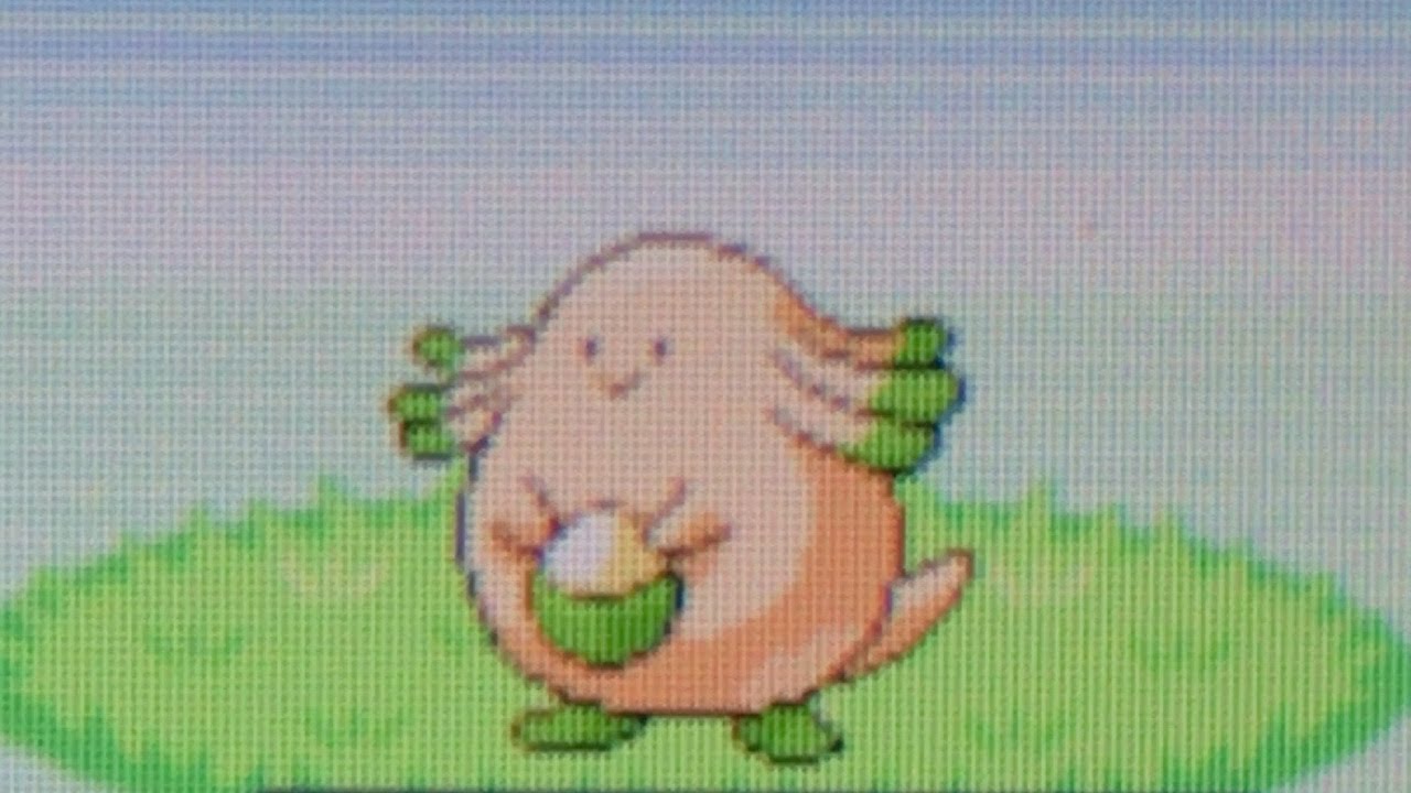 [Live] 4 Shiny Chansey after 11 phases and 69,676 total REs in the