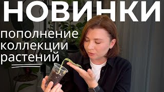 Обзор цветочных НОВИНОК • РОЗЫГРЫШ в честь 2000 подписчиков на канале!🥳