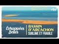 Bassin d&#39;Arcachon, sublime et fragile - Echappées belles