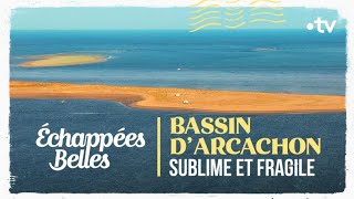 Bassin d'Arcachon, sublime et fragile - Echappées belles