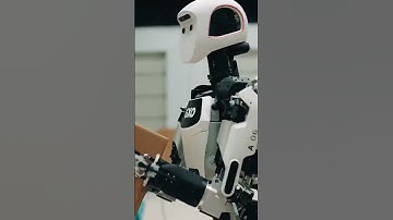 Are We Ready for AI Robots in Everyday Life