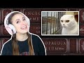 Cat Metal Archives is the greatest website of all time