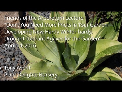 Video: Cold Hardy Xeric Plants - Pagpili ng Xeriscape Plants Para sa Zone 5 Gardens