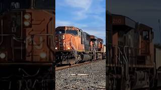 Rare Sd70I Leader On Cn Intermodal Train Full Video Below