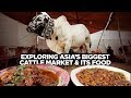 Street Food of Karachi Pakistan | Sohrab Goth Mandi | Exploring Asia's Biggest Cattle Market