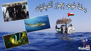 رحلة غوص بجزر الديمانيات سلطنة عمان وشفنا قررش - Diving in Ad Dimaniyat Islands Oman