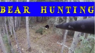 Bear hunting . охота на медведя смотреть ! Bear hunting . охота на медведя смотреть !
