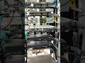 #IT SUPPORT #CCNA# #routervsswitch #configuracion #networkengineer
