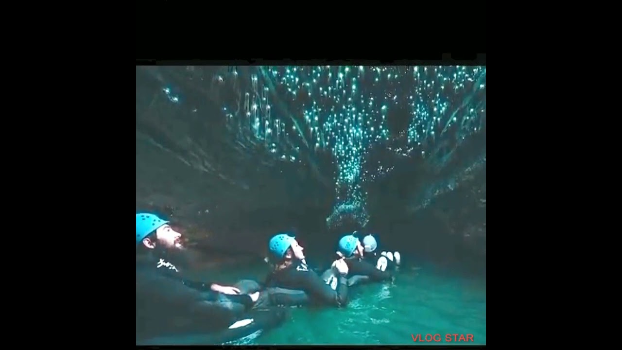 The Glowing Caves Of New Zealand