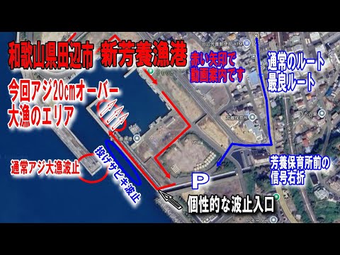 #90和歌山県新芳養漁港20cm超アジ40匹から50匹釣れる港内側アジ大漁15時頃から暗くなるまで前の波止も釣り人多数ベタ底でアジが釣れますサビキ下かごの上の針に釣れます