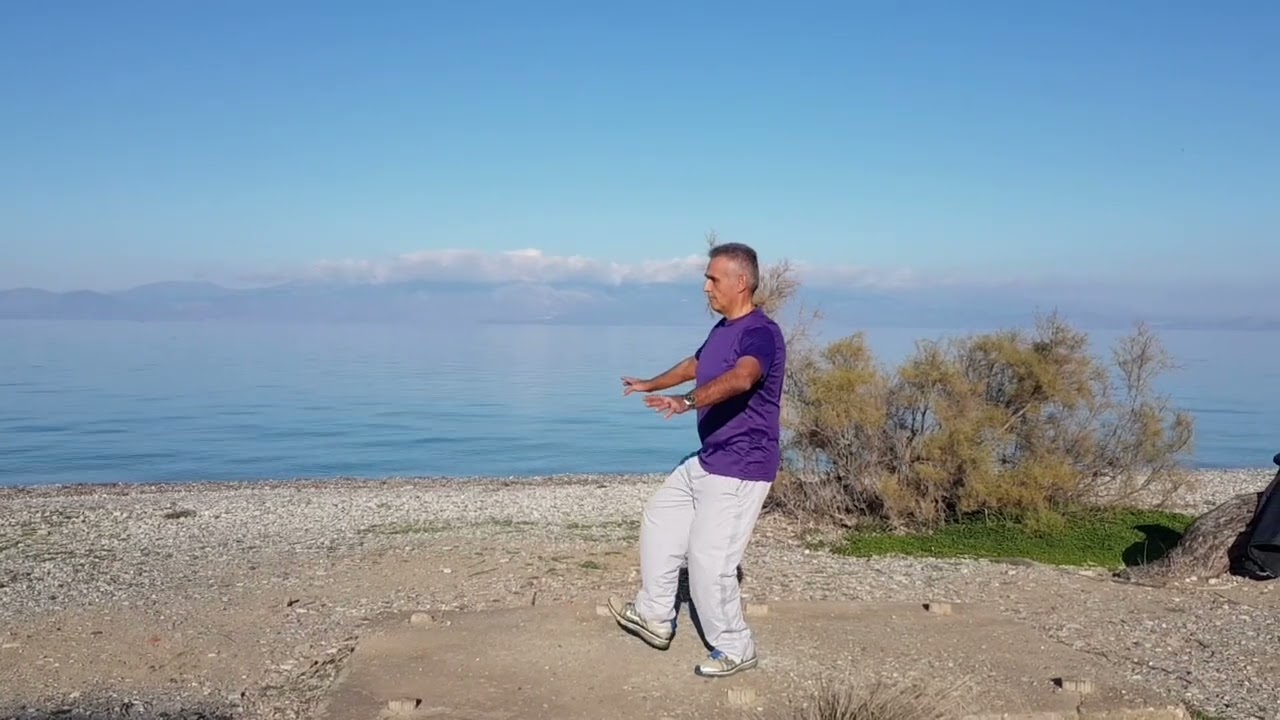 6 steps for learning / 6 étapes pour apprendre le: Yi Quan's Mo Ca Bu.