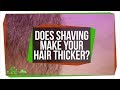 Does Shaving Make Your Hair Thicker?