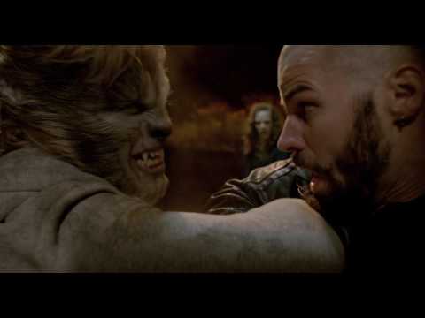 Wolves - მგლები