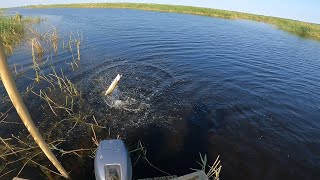 щука долбит на каждом забросе такой рыбалки давно не видели рекомендую посмотреть