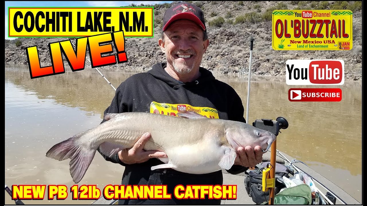 LIVE Fishing for Channel Catfish COCHITI LAKE N.M. YouTube