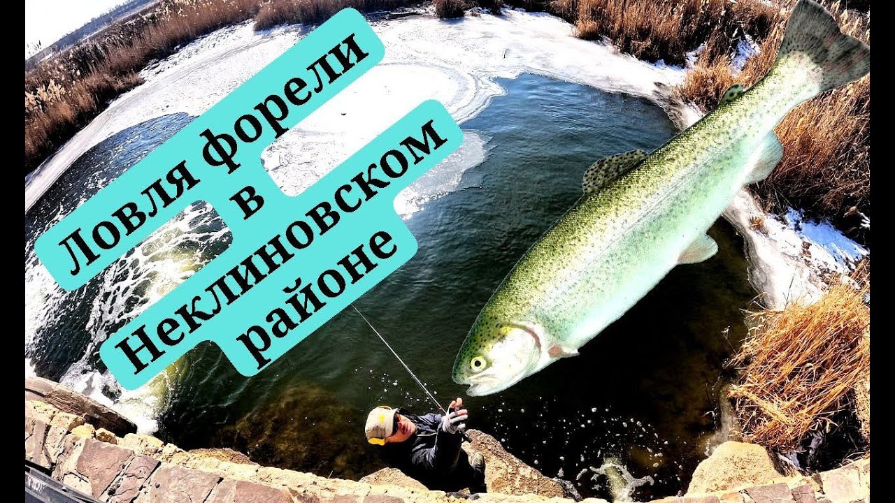 Ловля форели в Неклиновском районе.