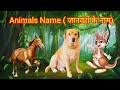 जानवरों के नाम – पशुओं के नाम हिंदी और इंग्लिश में
