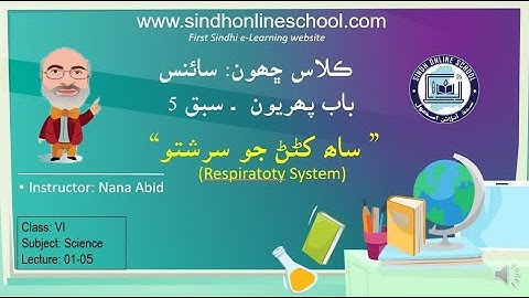 Respiratory System| Science Class 6| Chapter 1| Lecture 5| by Nana Abid| Sindh Online School