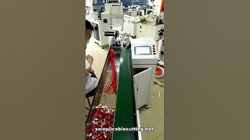 Auto cutting wire stripping Single head Flag terminal crimping machine,  with conveyor belt