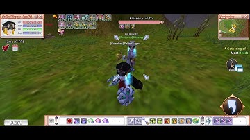 flyff universe,yoyo jester pure str build low budget.