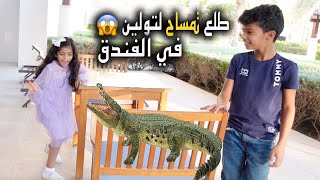 التمساح هجم على تولين !! لا يفوتكم نواف ايش سوا 🐊😱