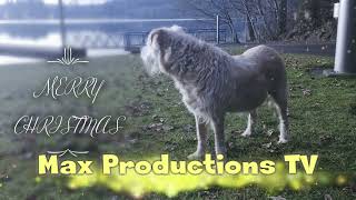 Merry Christmas from Max Productions TV