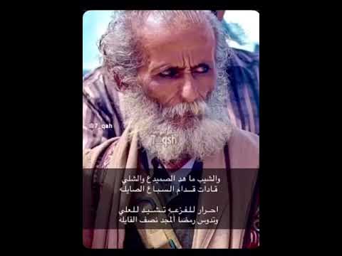 والشيب ماهد الصميدع والشلي
