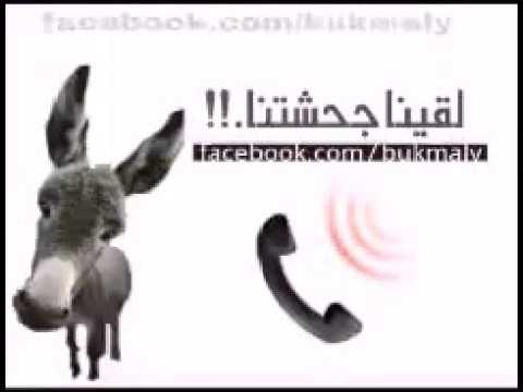 لقينا جحشتنا