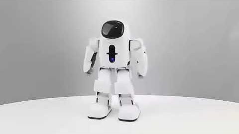 Backpack kid & Backpack bot