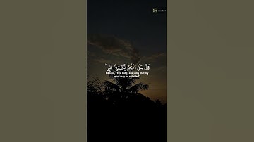وإذ قال ابراهيم ربي ارني كيف تحيي الموتى| سورة البقرة القارئ عبدالرحمن مسعد #قرآن_كريم # #quran