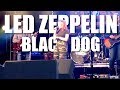 Led Zeppelin - Black Dog - Cover (2020)