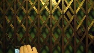 Historic Otis Traction Elevator Battle Hall Ut Austin Tx Wcaptainelevator42189