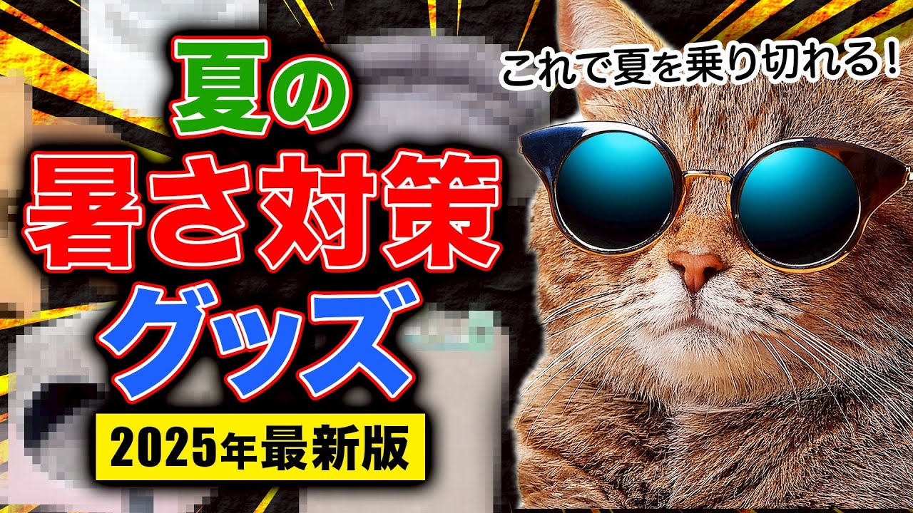 How to protect your cat from the heat] These are must-buy items