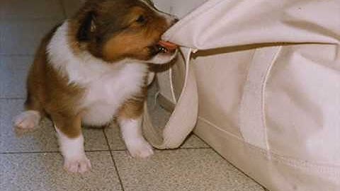 Episode 22: Fixed and Variable Costs