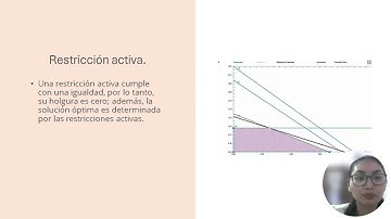 Programación lineal Proyecto integrador