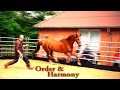 Hempfling - Order & Harmony in Minutes - An Educational Documentary