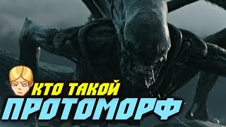 Кто такой Протоморф (обзор) Protomorph