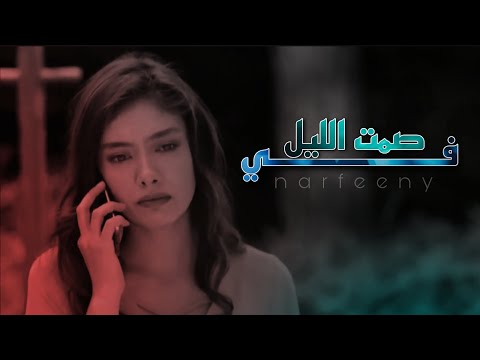 في صمت الليل     