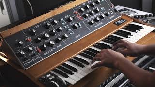 Moog Model D (2016 Reissue) improvisation