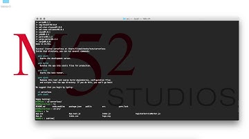 React app setup for a "serverless" demo