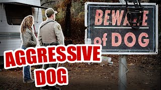 Aggressive Dog  - Horse Shelter Heroes S4E39