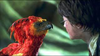 Harry Potter Soundtrack - Fawkes the Phoenix Theme Resimi