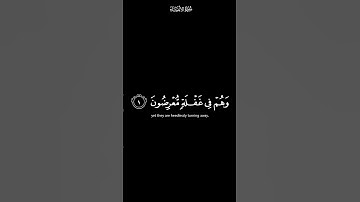اقترب للناس حسابهم | كرومات شاشة سوداء القران الكريم | القارئ هيثم الدخين