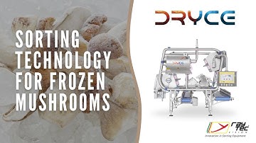 Dryce sorting #frozen #mushrooms | RAYTEC VISION SpA