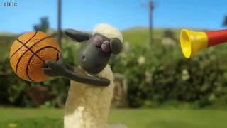 11 Beach Volleyball