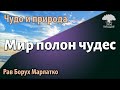 Мир полон чудес. Р.Борух Марлатко.