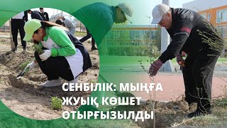 Қызылордадағы NIS-те сенбілік: мыңға жуық көшет отырғызылды