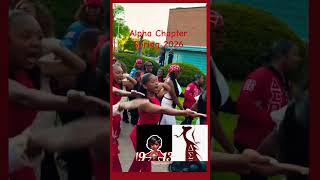 Welcome New Sorors❤️🤍🐘#dst #deltasigmatheta #fyp #viral #shorts #ocov #sisterhood #dstglobal