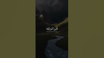 القـارئ : ياسـر الـدوسري | ما تيسر من سورة الزخرف